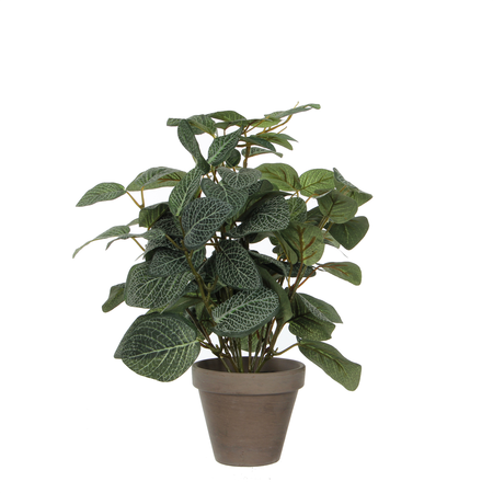 Pilea in pot d25h35cm groen (Zijde-plant)