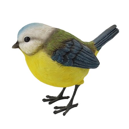 Pimpelmees l11b4h8cm