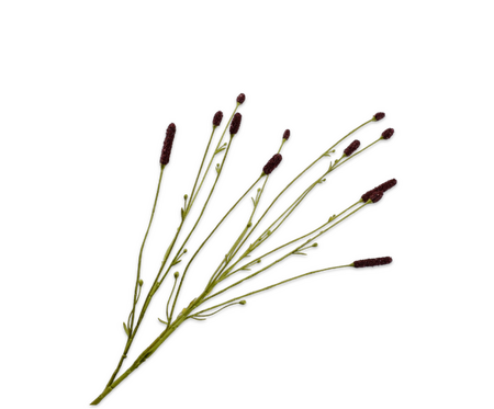 Pimperneltak l84cm bruin