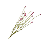 Pimperneltak l84cm roze/rood