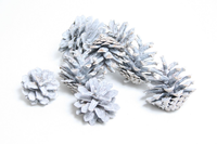 Pinecones 200g silvester frosted