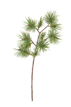 Pinustak l48cm groen