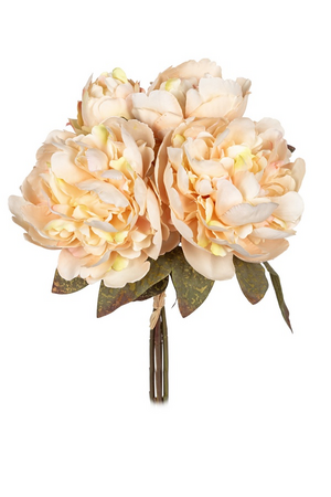 Pioen bundel h34cm creme