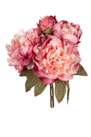 Pioen bundel h34cm roze