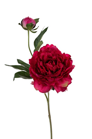 Pioen l43cm cerise
