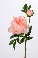 Pioen l56cm zalm