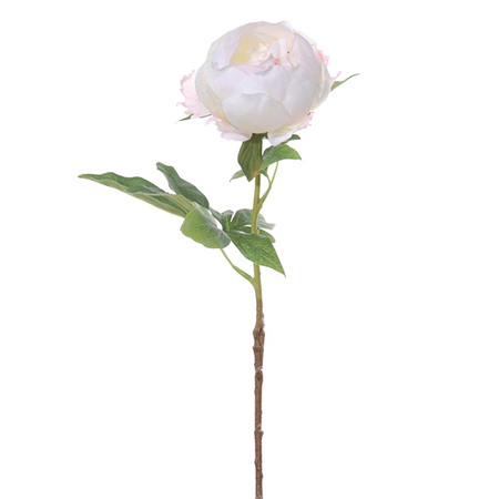 Pioenroossteel l55cm wit/roze (Zijde-bloem)