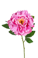 Pioensteel l78cm donker roze