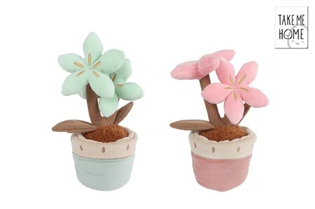 Plant 2 bloem 22cm per stuk