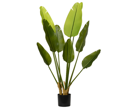 Plant pe d40h120cm groen