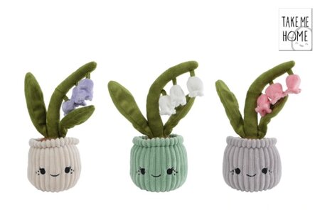 Plant sneeuwklok 24cm a3