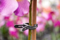 Plantenclip d18mm 5st - afbeelding 2