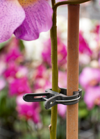 Plantenclip d35mm 5st - afbeelding 3