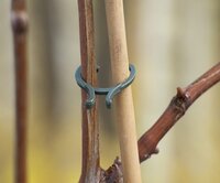 Plantenring d16/d20d25mm s3 maten - afbeelding 2