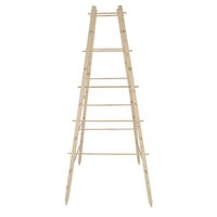 Plantensteunpiramide hout l41b38h24