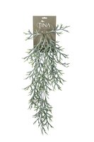 Platycerium hanger l60cm grn header