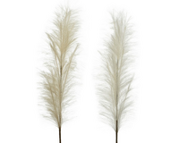 Pluim polyester l3b12h120cm a2