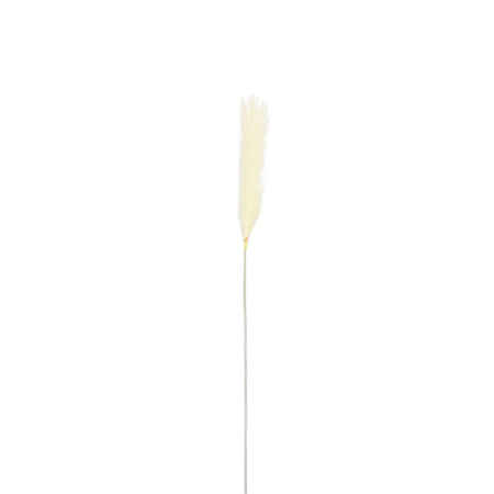 Pluimgrastak d10l104cm beige (Zijde-tak) - afbeelding 1