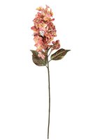 Pluimhortensia l70cm roze