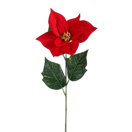 Poinsettia l61b22h20cm rood