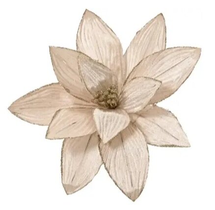 Poinsettiaclip pes d30h15cm chmpgn