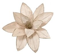 Poinsettiaclip pes d30h15cm chmpgn