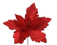 Poinsettiasteel fluweel d50h15cm rood