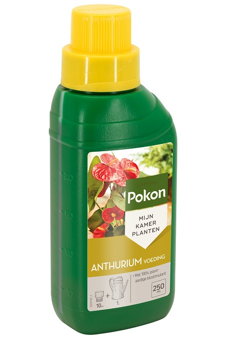 Pokon Anthurium Voeding 250 ml - afbeelding 1