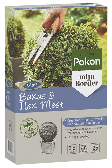 Pokon Buxus & Ilex Mest 2,5 Kg - afbeelding 1