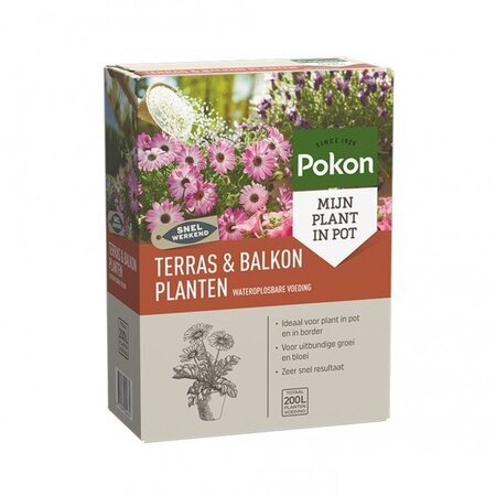 Pokon Terras & Balkon Planten Wateroplosbare Voeding 500gr - afbeelding 1