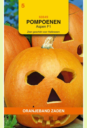Pompoen aspen f1 hybride 7zd - afbeelding 1