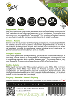 Pompoen asterix - afbeelding 2