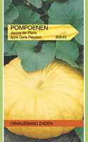 Pompoen jaune de paris 4g - afbeelding 3