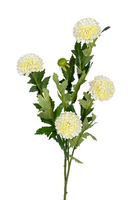 Pompomtak l60cm wit