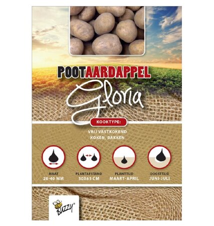Pootaardappel gloria 1kg