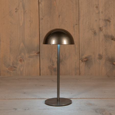 Portable tafellamp 22x9.5cm antrct