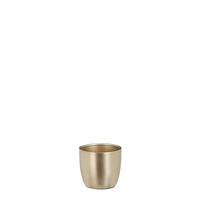 Pot alano d7h6.5cm goud