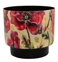 Pot camelia poppy d17h17cm