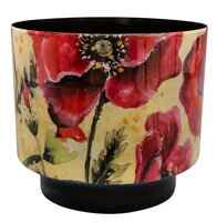 Pot camelia poppy d22h20cm