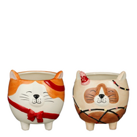 Pot funny kat l12.5b12h13cm beige a2