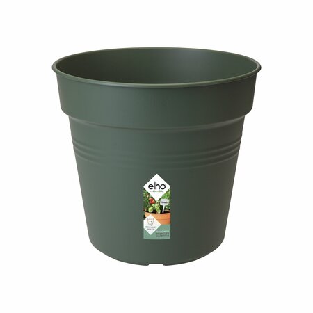 Pot green basic orchid d13cm bl.grn