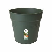 Pot green basic orchid d13cm bl.grn