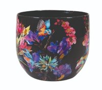 Pot midnight bloom d9h7cm