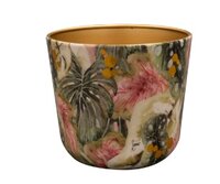 Pot monstera d14h12cm mystery