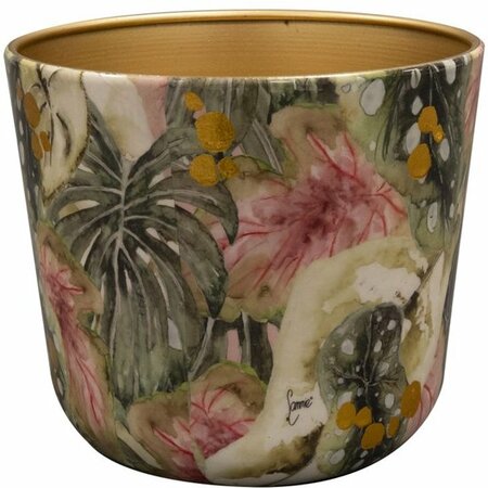 Pot monstera d16h14cm mystery