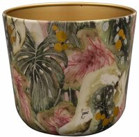 Pot monstera d18h16cm mystery