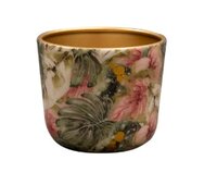 Pot monstera d7h7cm mystery