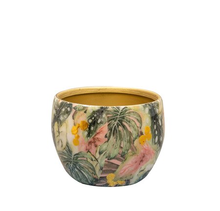 Pot monstera mystery d9h7cm