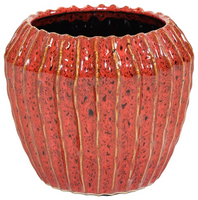 Pot rib ide cone d14h12 robijn