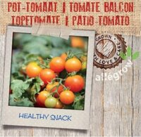 Pot Tomaat - afbeelding 2